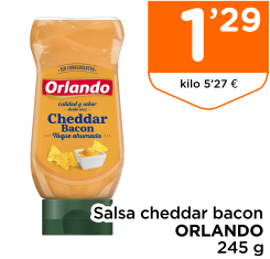 Salsa cheddar bacon ORLANDO 245 g