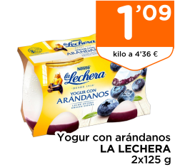 Yogur con ar?ndanos LA LECHERA 2x125 g