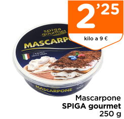 Mascarpone SPIGA gourmet 250 g